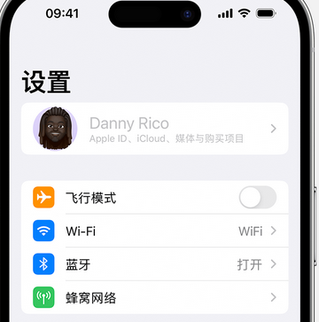 武义appleID维修服务iPhone设置中Apple ID显示为灰色无法使用 