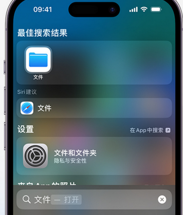 武义apple维修中心分享iPhone文件应用中存储和找到下载文件 