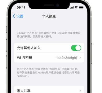 武义apple服务站点分享iPhone上个人热点丢失了怎么办 