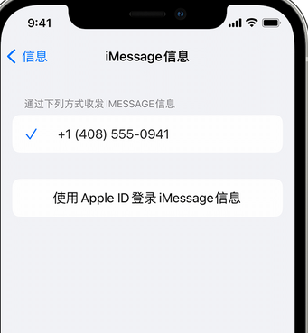 武义apple维修iPhone上无法正常发送iMessage信息 