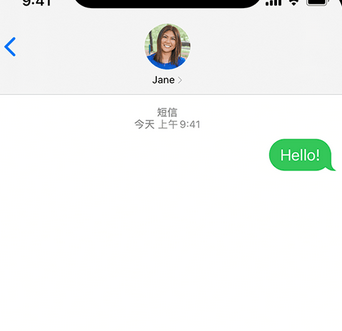 武义apple维修iPhone上无法正常发送iMessage信息