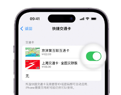 武义apple维修点分享iPhone上更换Apple Pay快捷交通卡手绘卡面 