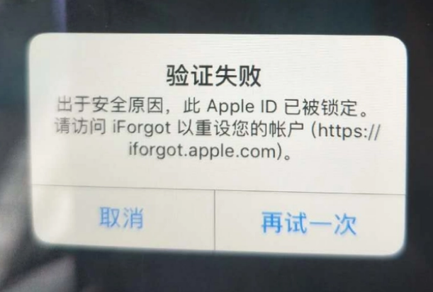 武义iPhone维修分享iPhone上正常登录或使用AppleID怎么办 