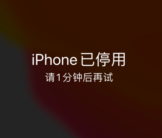 武义苹果手机维修分享:iPhone 显示“不可用”或“已停用”怎么办？还能保留数据吗？ 