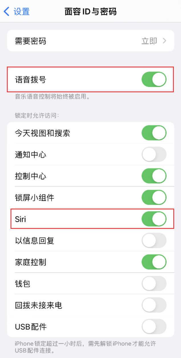 武义苹果维修网点分享不解锁 iPhone 的情况下通过 Siri 拨打电话的方法 