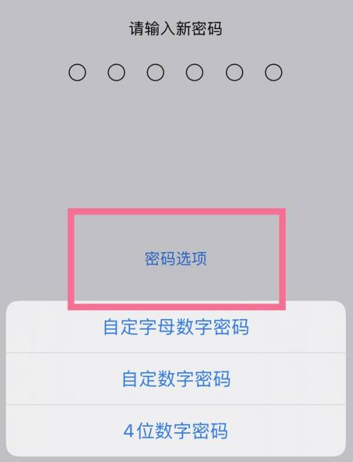 武义苹果14维修分享iPhone 14plus设置密码的方法 