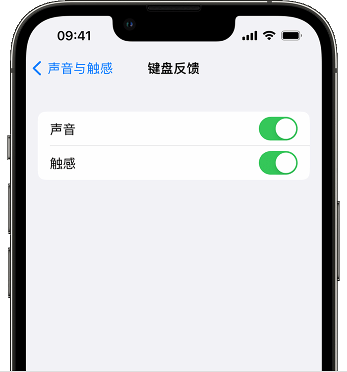 武义苹果14维修分享iPhone 14 系列机型如何开启键盘声音或触感反馈 