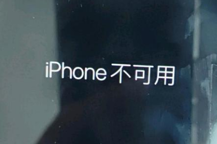 武义苹果服务网点分享锁屏界面显示“iPhone 不可用”如何解决 