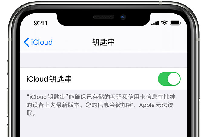 武义苹果手机维修分享在 iPhone 上开启 iCloud 钥匙串之后会储存哪些信息 