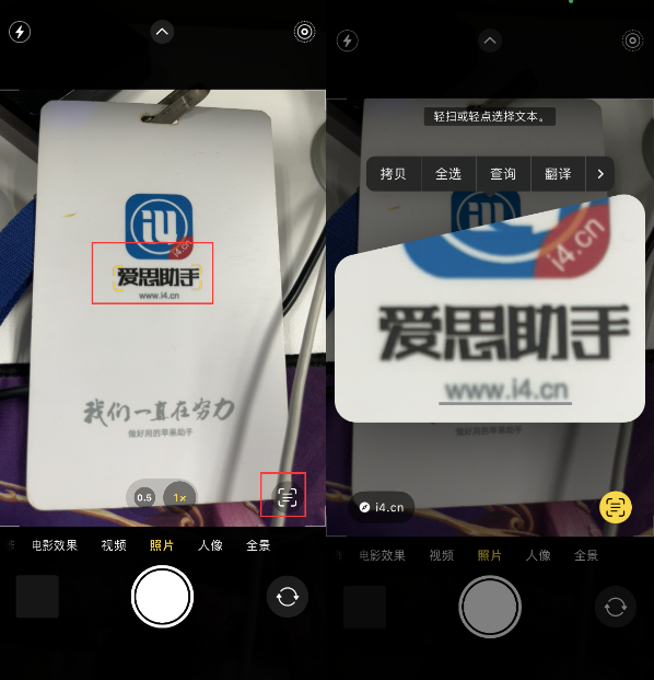 武义苹果手机维修分享升级iOS 16后如何通过相机翻译文本 