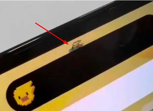 武义苹果14维修分享iPhone 14 Pro Max灵动岛怎么养宠物 