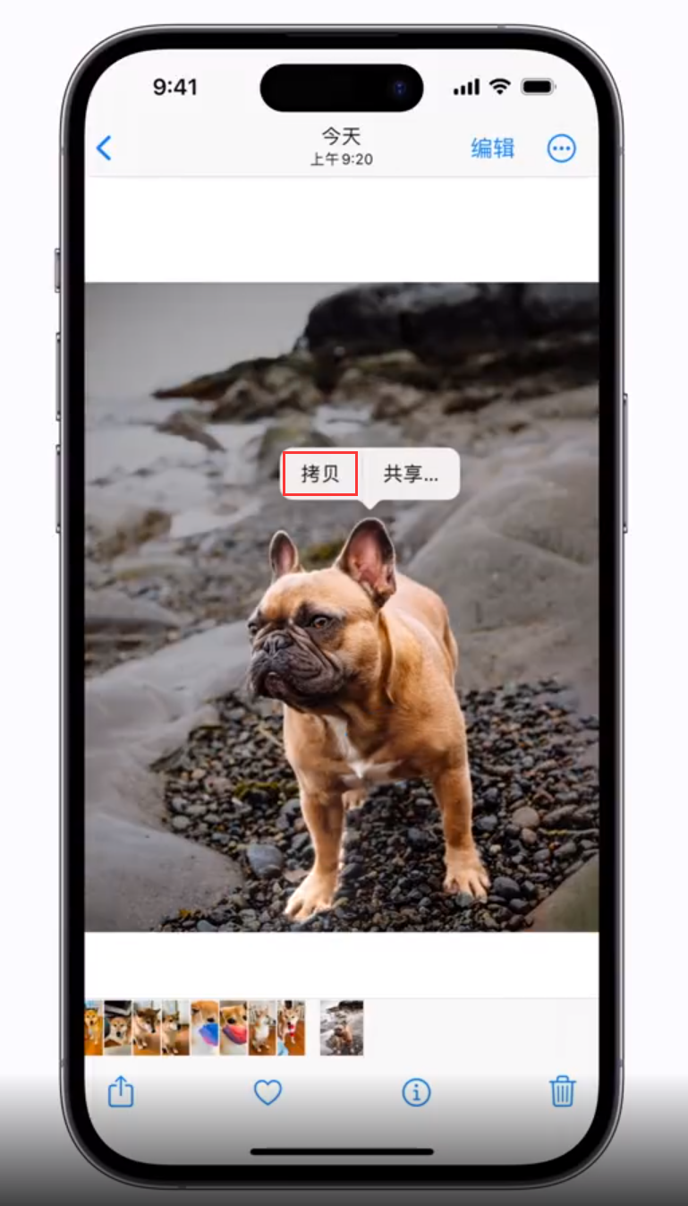 武义苹果手机维修分享 iOS 16 自带一键抠图功能 
