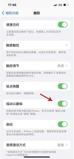 武义苹果手机维修分享iPhone手机如何设置摇一摇删除文字 