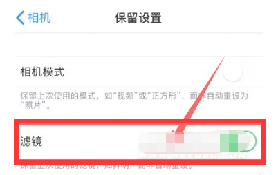 武义苹果13维修分享iPhone13拍照有绿点是怎么回事 