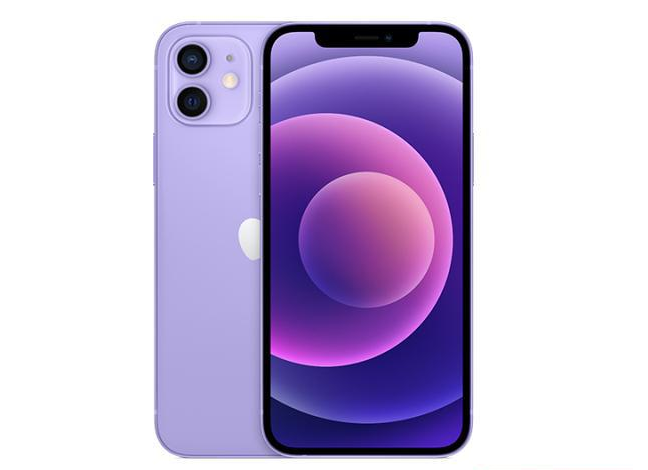 武义苹果手机维修分享现阶段要不要入手紫色版iPhone12 