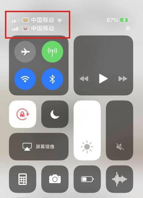 武义苹果手机维修分享为 iPhone 12 双卡设置标签 