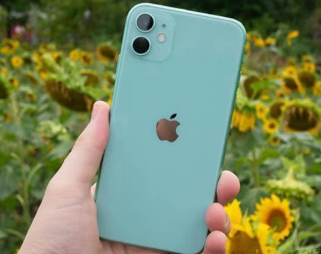 武义苹果维修点分享iPhone 11锁屏密码认知与使用科普 