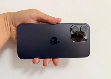 武义苹果维修点分享iPhone 14 Pro Max黑屏少见故障盘点 